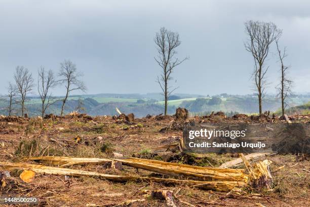 cut forest - grand duke henri of luxembourg stockfoto's en -beelden