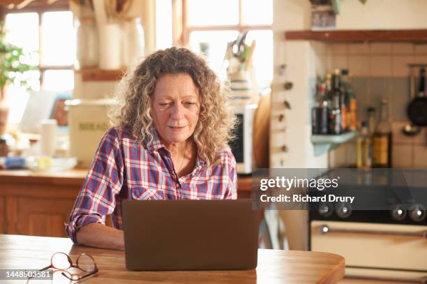 mature woman using a laptop at home - plaid stock pictures, royalty-free photos & images