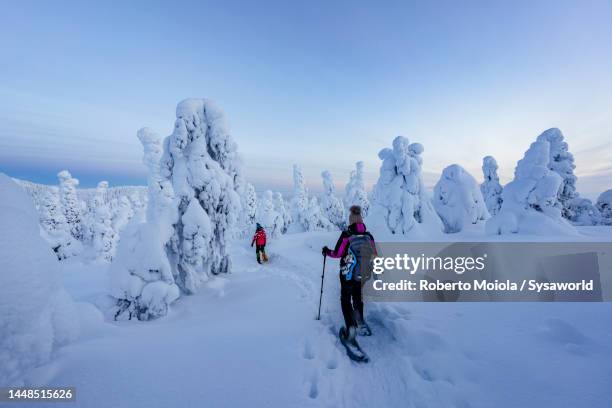 mother and son snowshoeing on trail in a snowy forest - snowshoe stock pictures, royalty-free photos & images