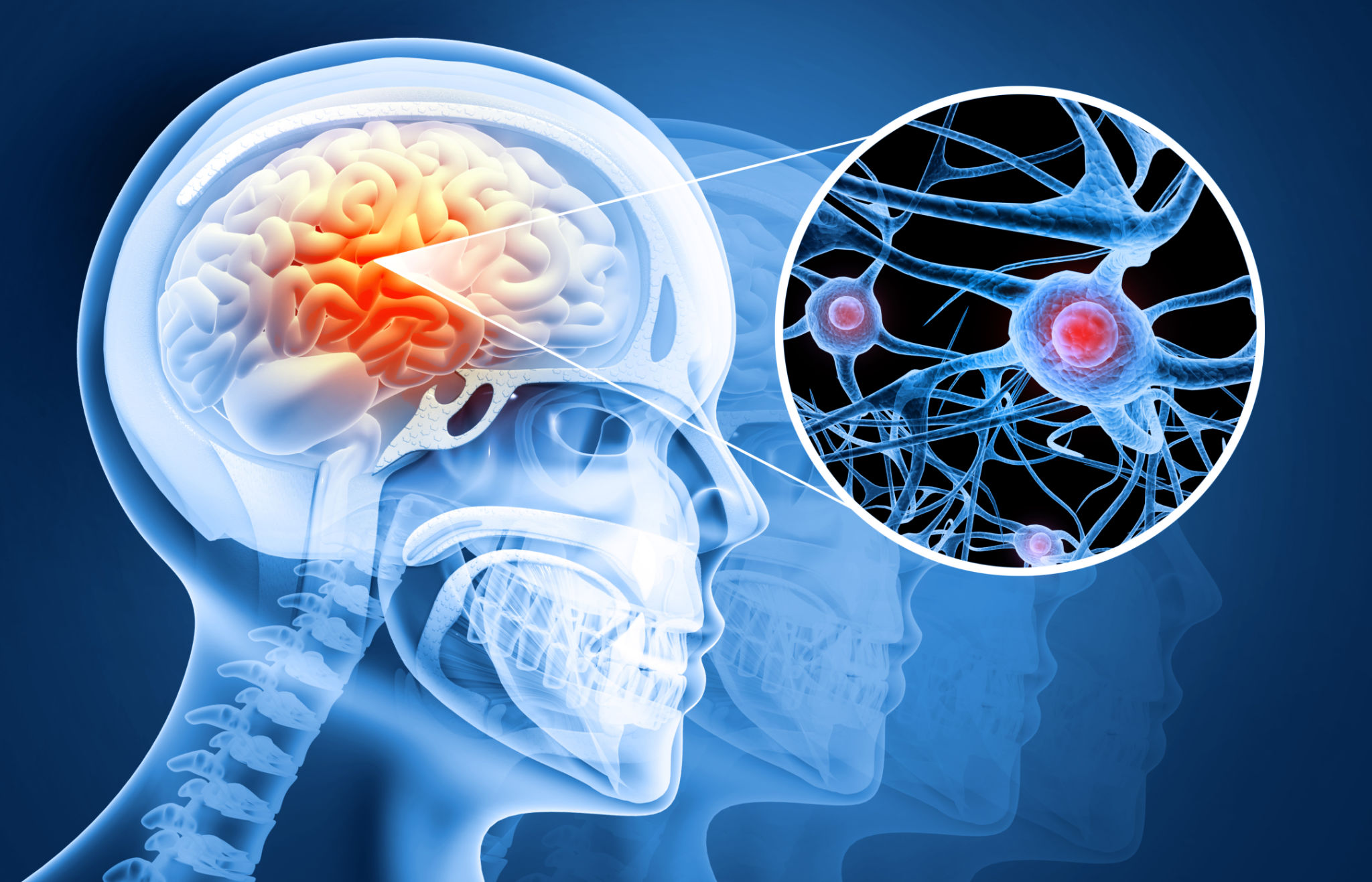 Human brain eating habits Human brain eating habits