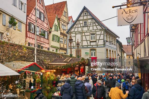 bad wimpfen - heilbronn stock pictures, royalty-free photos & images