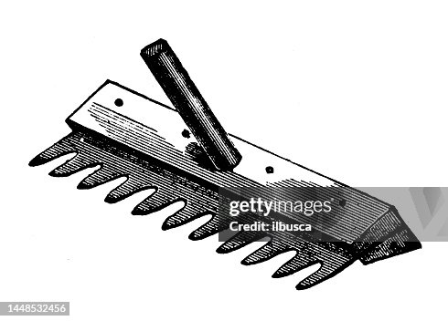 Daisy Rakes Antique Engraving Illustration Daisy Rake High-Res Vector Graphic ...
