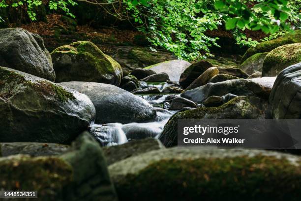 small stream with rocks in dense forest at birks of aberfeldy, scotland - inzoomen stockfoto's en -beelden