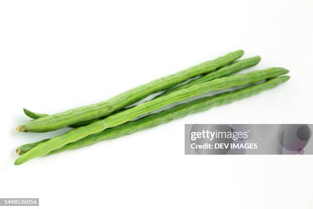 bunch of moringa oleifera or sonjna on white background - drumstick stock pictures, royalty-free photos & images
