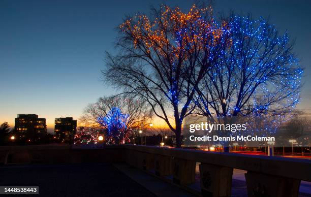 christmas light along city street, ottawa, ontario, canada - ottawa park stock pictures, royalty-free photos & images