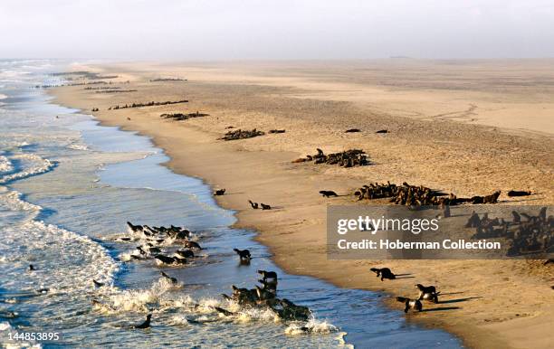 Skeleton Coast, Namibia, Africa