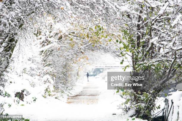 snow day - east london - snow day stock pictures, royalty-free photos & images