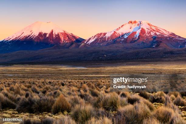 nascer do sol sobre o vulcão parinacota no parque nacional sajama, bolívia - bolivian andes - fotografias e filmes do acervo