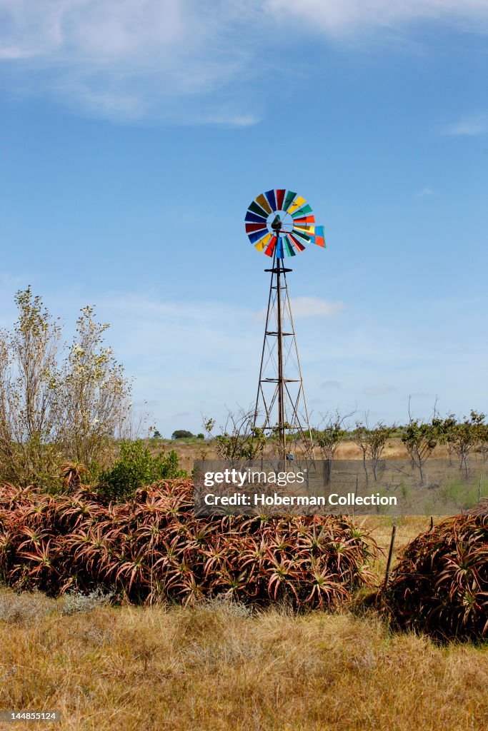 Colourful Windmill, Cape Infanta