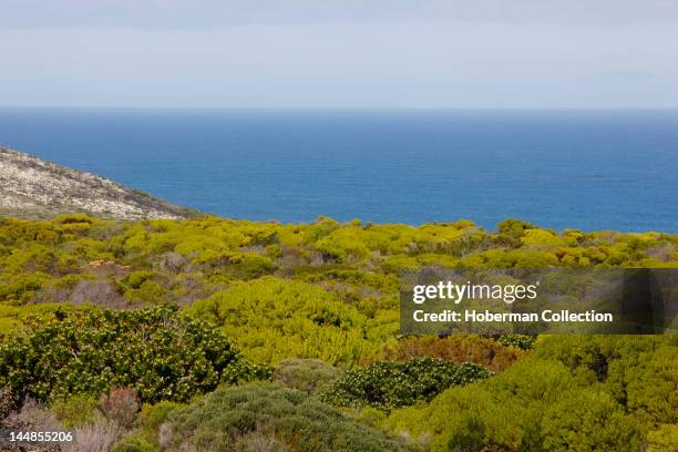 Cape Peninsula National Park, Cape of Good Hope