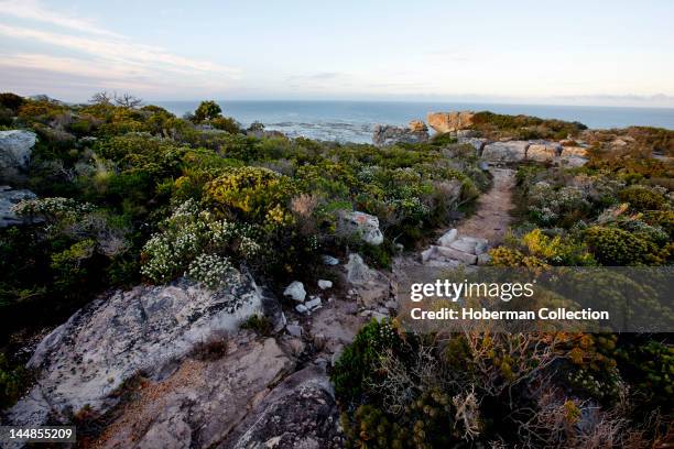 Cape Peninsula National Park, Cape of Good Hope