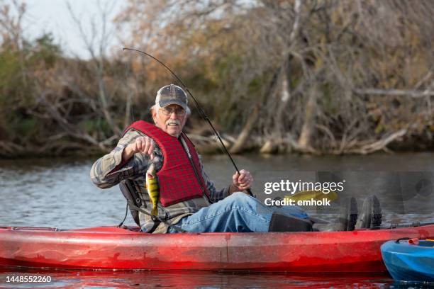 senior man holding up perch caught while kayak fishing - white perch fish stock pictures, royalty-free photos & images