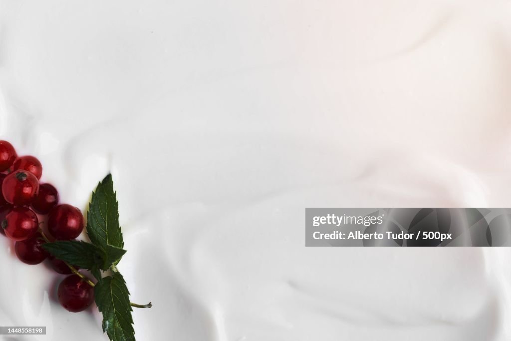 Top view paste white natural yogurt cranberries
