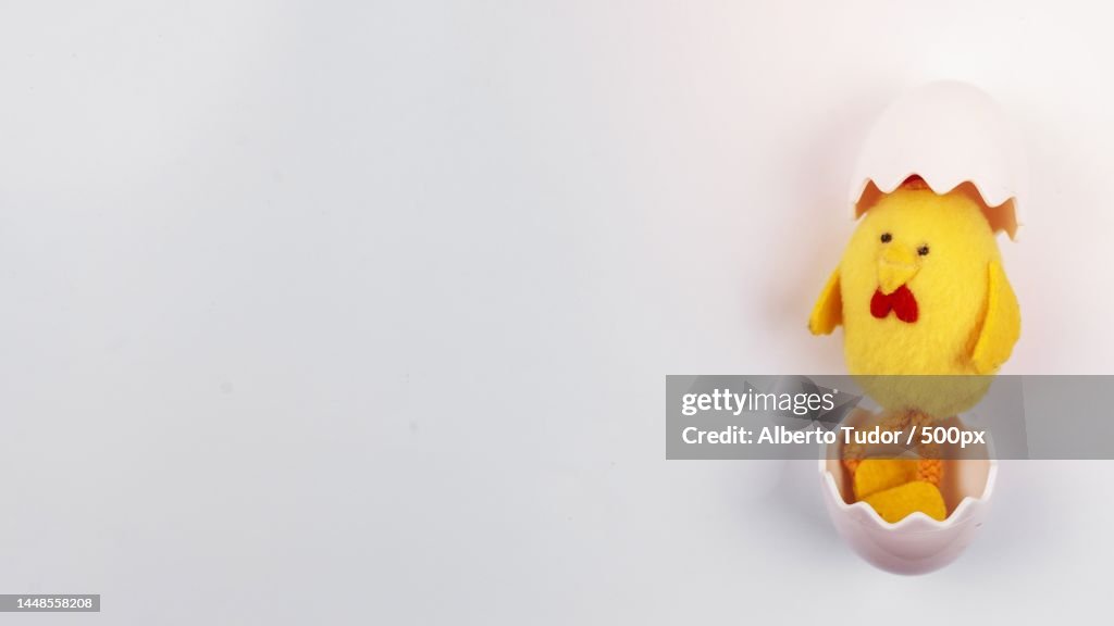 Toy small chicken egg shell table