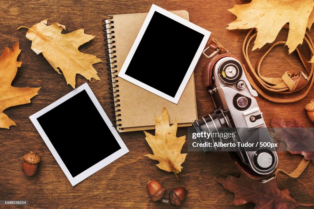 Top view camera with s autumn leaves