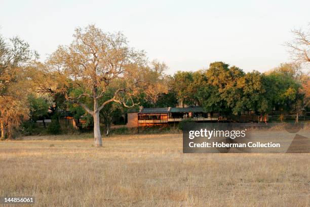 Notten's Bush Camp, Sabi Sands, Mpumalanga, South Africa, Africa