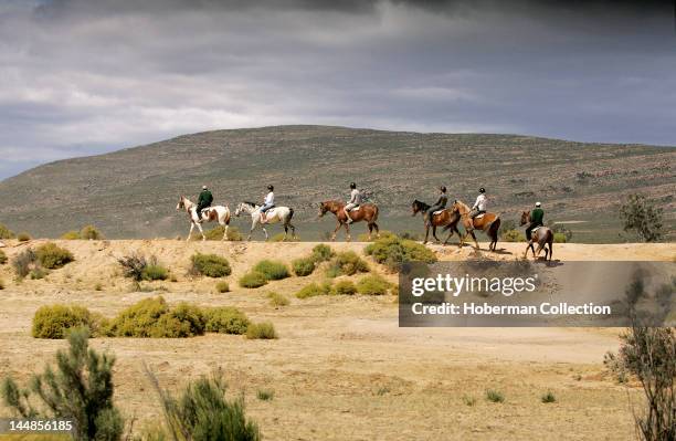 Aquila Private Game Reserve, Western Cape, South Africa, Africa