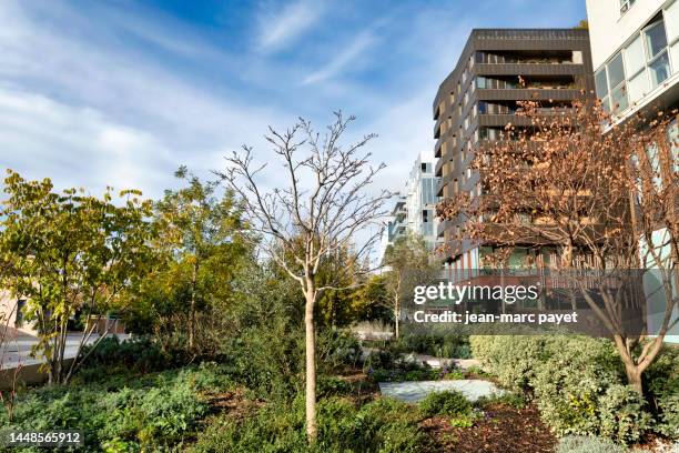 green setting in the heart of paris - jean marc payet stock-fotos und bilder