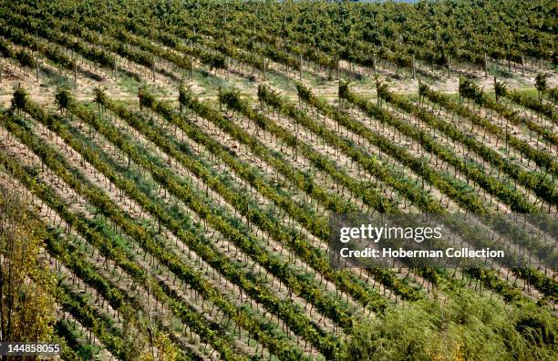 Hamilton Russel Wine Estate, Hemel & Aarde Valley, Hermanus, Western Cape