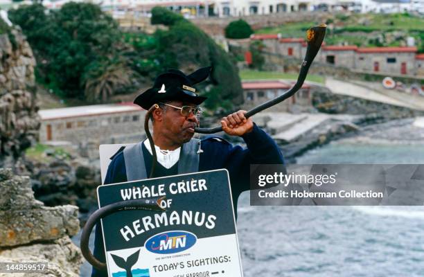 Whale crier, Hermanus, Western Cape