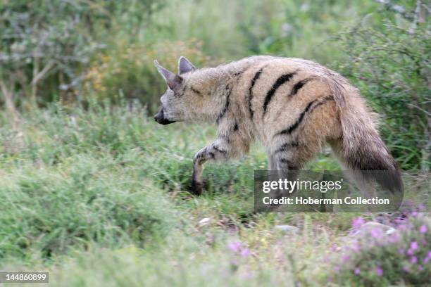 Eastern Cape, South Africa, Africa