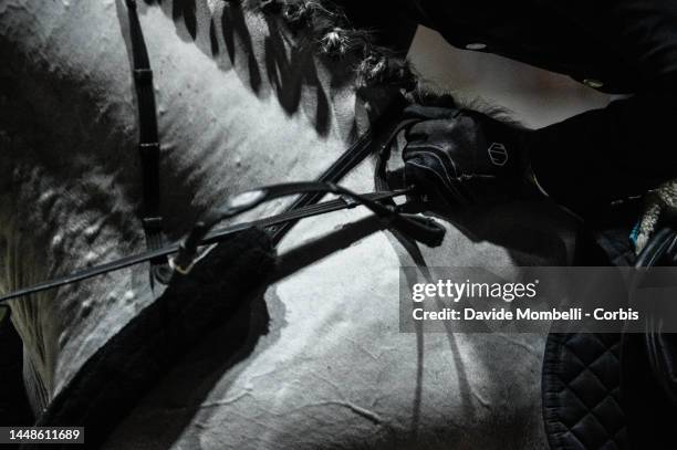 Detail of the mane, reins, and hand of the knight Jérôme Guery riding Great Britain V during the Rolex Grand Prix, Rolex Grand Slam Geneva 2022