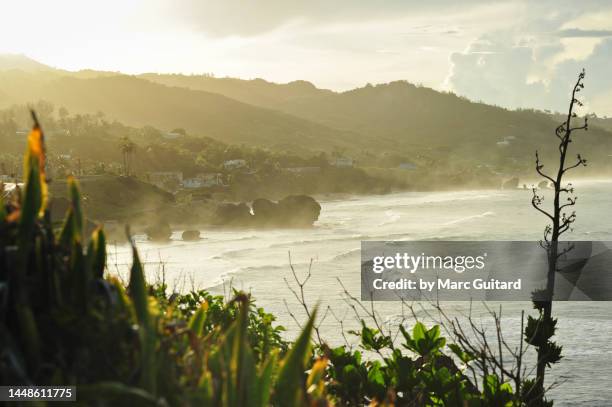 sunset over the village of bathsheba, barbados - barbados stock-fotos und bilder