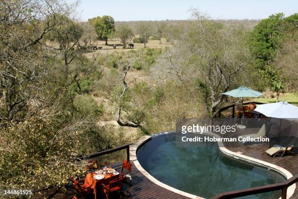 Lodge Pool, Elephant Plains, Sabi Sabi, Greater Kruger National Park, Mpumalanga, South Africa, Africa