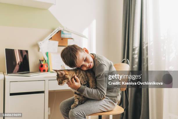 a fair-haired boy in summer in a white linen shirt walks in the fresh air in the field with his favorite pet, a gray-striped cat - fair haired boy stock-fotos und bilder