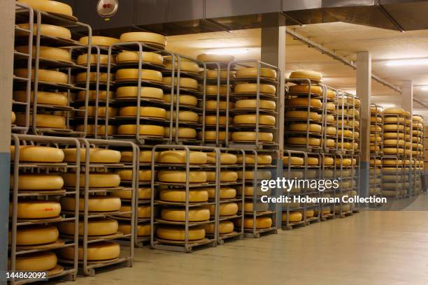 Cheese Inside Factory 486 Cheese Warehouse Stock Photos, High-Res Pictures, and Images ...