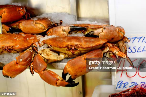 Crabs For Sale Photos and Premium High Res Pictures - Getty Images