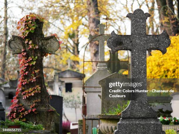 granite cross and weathered stone cross covered by a climbing plant in the pere lachaise cemetery - cimitero foto e immagini stock