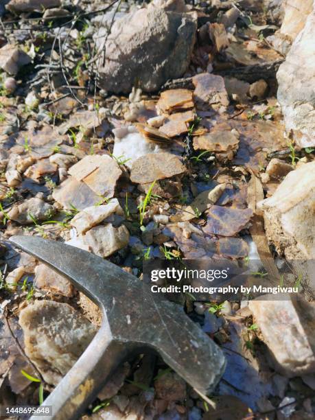 large flakes of muscovite mica - biotit stock-fotos und bilder