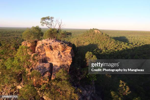 cape york country - atherton tableland stock pictures, royalty-free photos & images