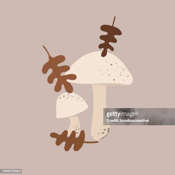 ilustrações de stock, clip art, desenhos animados e ícones de winter home icon- mushroom and leaf - hygge