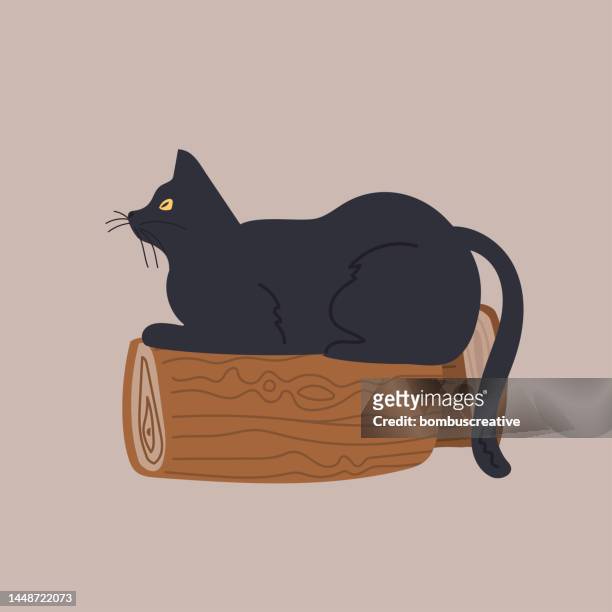 ilustrações de stock, clip art, desenhos animados e ícones de winter home icon- wood and cat - hygge