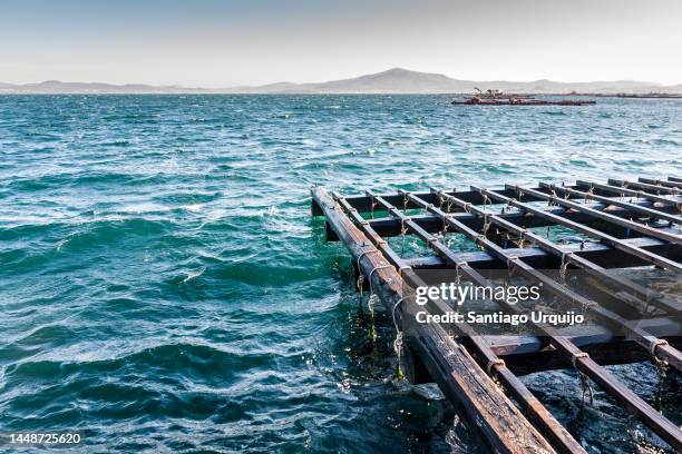 Ocean Raft Wood 198 Wood Raft Ocean Stock Photos, High-Res Pictures, and Images - Getty ...