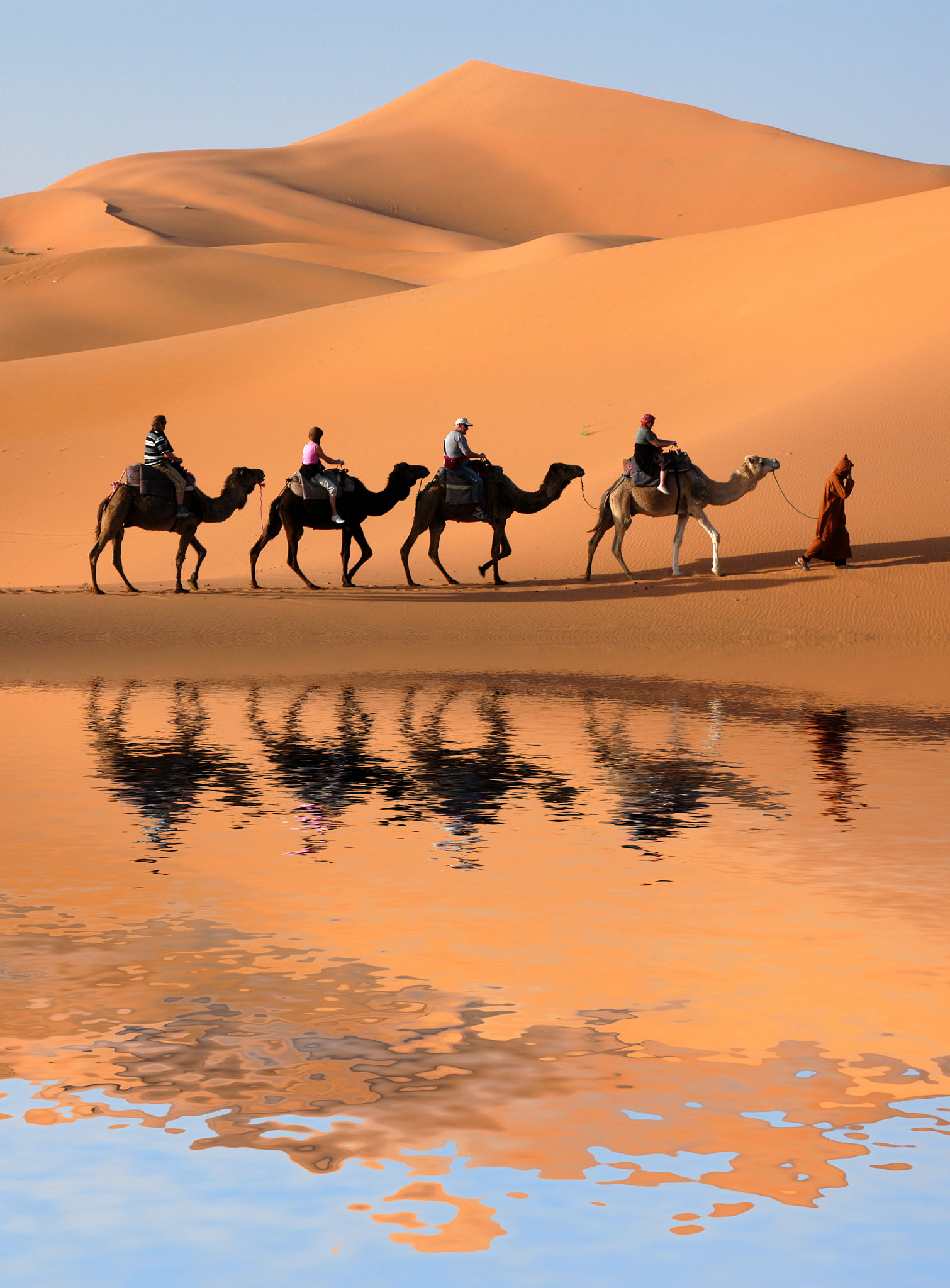 group safari