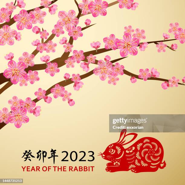 plum blossom of rabbit year - cherry blossom background stock illustrations