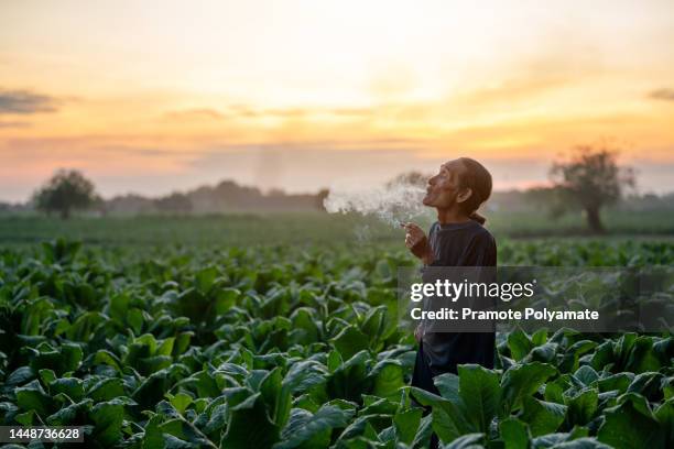 Young Rural Smokers Team Cigar Photos and Premium High Res Pictures - Getty Images