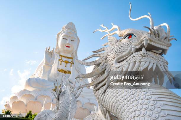 the big guanyin statue located in wat huay pla kang temple in chiang rai province of thailand. - guanyin bodhisattva imagens e fotografias de stock