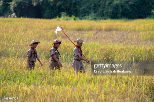 asian boy scouts in uniform sitting in a small river - scouts stockfoto's en -beelden