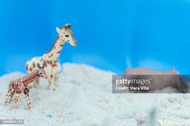 1,162 Toy Zoo Animals Photos and Premium High Res Pictures - Getty Images