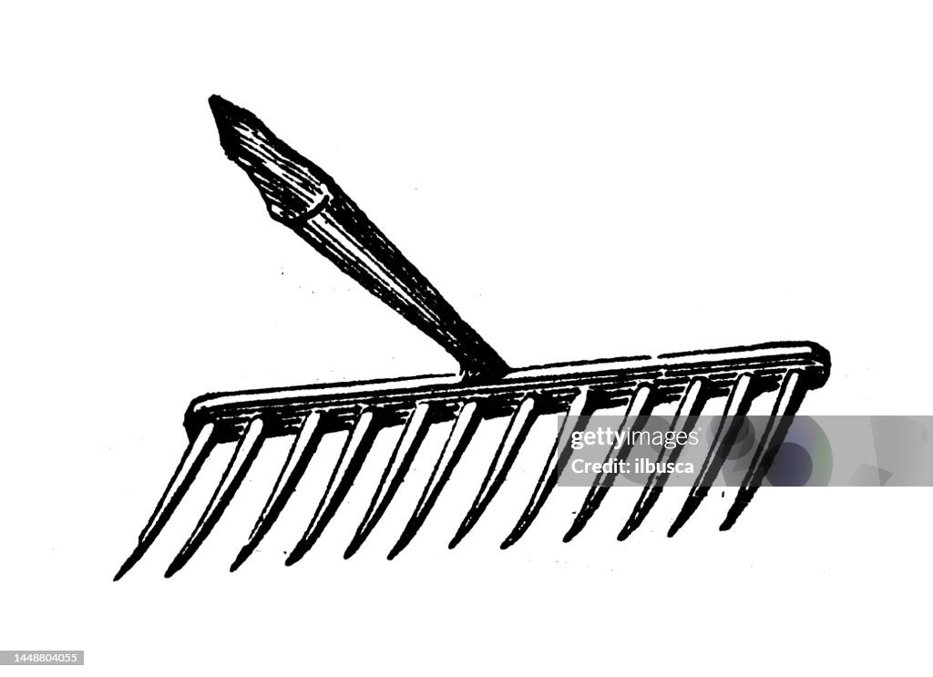 Original Rake Drawing Antique Engraving Illustration Garden Rake High-Res Vector Graphic ...