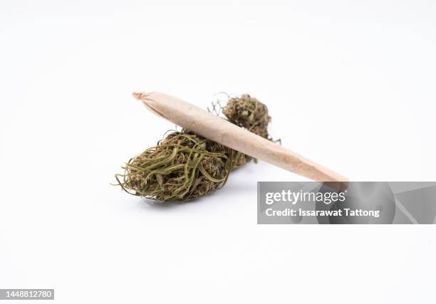 marijuana joints and buds isolated on white background - 大麻香煙 個照片及圖片檔