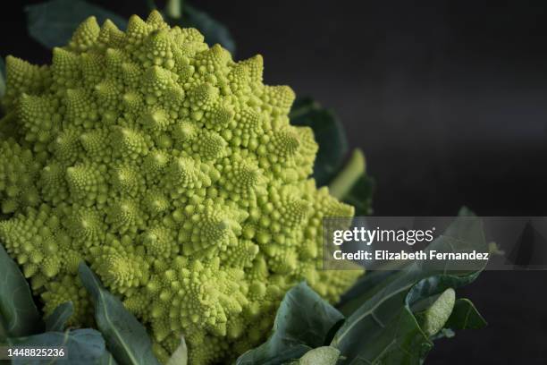 romanesco cabbage on black background. - cabbage flower stock pictures, royalty-free photos & images