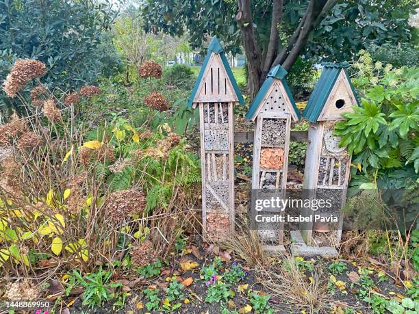 insect hotel in park, paris, france - giant bee stock pictures, royalty-free photos & images