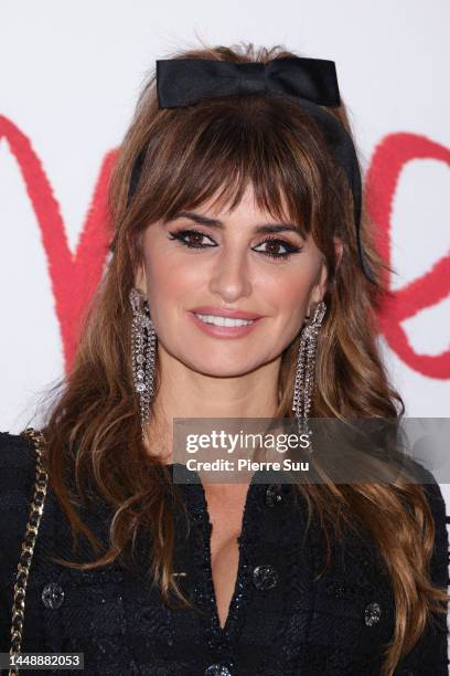 Penelope Cruz attends the "L'Immensita" photocall at Cinema Pathe Beaugrenelleon December 13, 2022 in Paris, France.