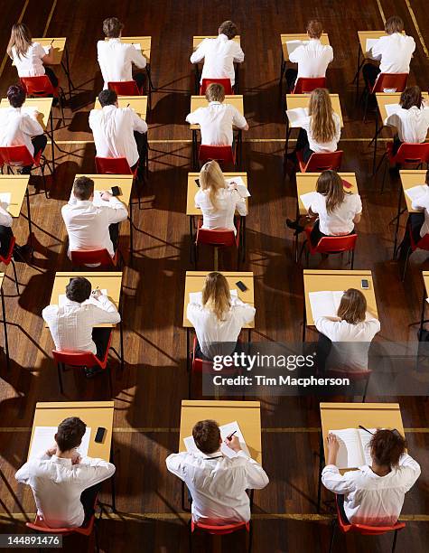 children stting an exam - exam photos et images de collection