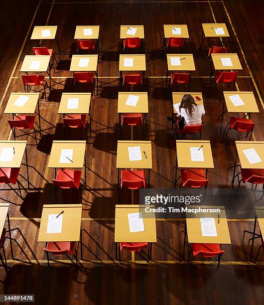 girl working alone in a hall - exam hall stockfoto's en -beelden